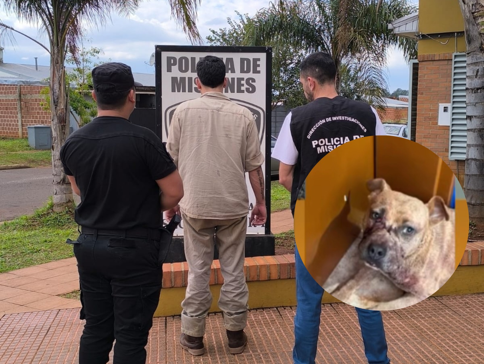 Detuvieron a un hombre acusado de golpear brutalmente a perros y por violencia familiar